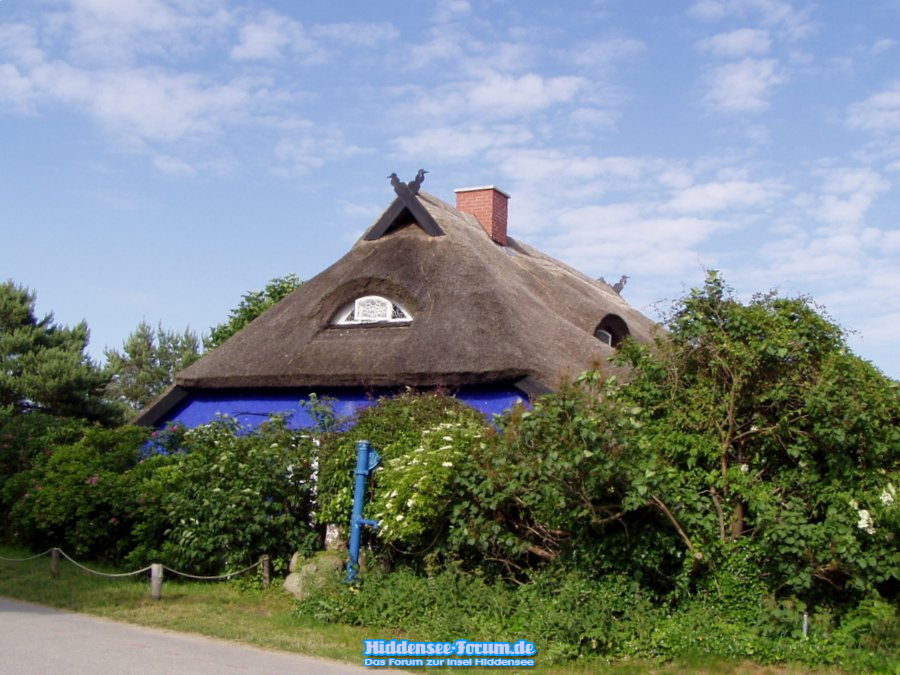 Blaue Scheune, aber leider schon etwas zugewachsen :-((