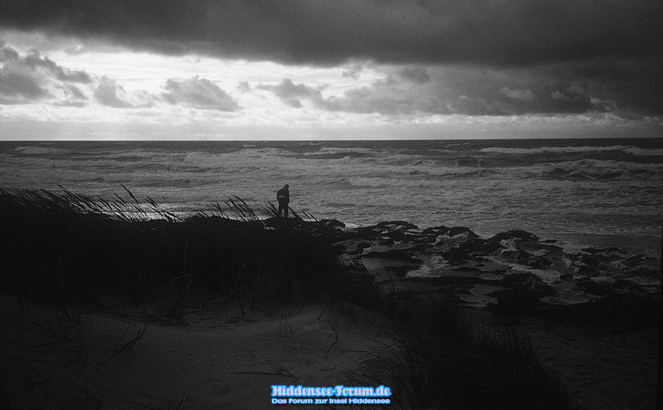 Ein Novembertag auf Hiddensee