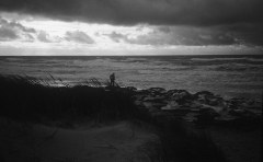 Ein Novembertag auf Hiddensee