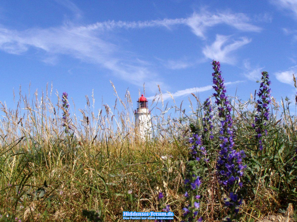 Leuchtturm Dornbusch