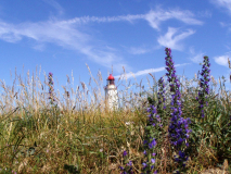 Leuchtturm Dornbusch