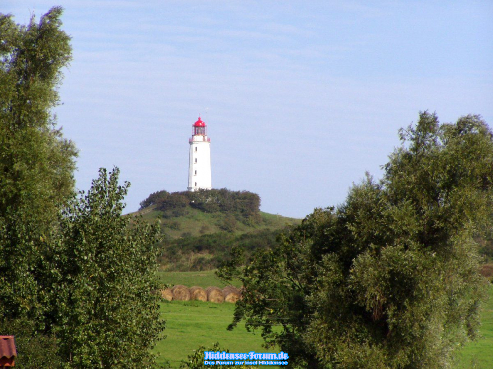 Leuchtturm vom Bodden aus gesehen