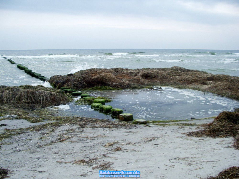 So sah der Strand leider überall aus