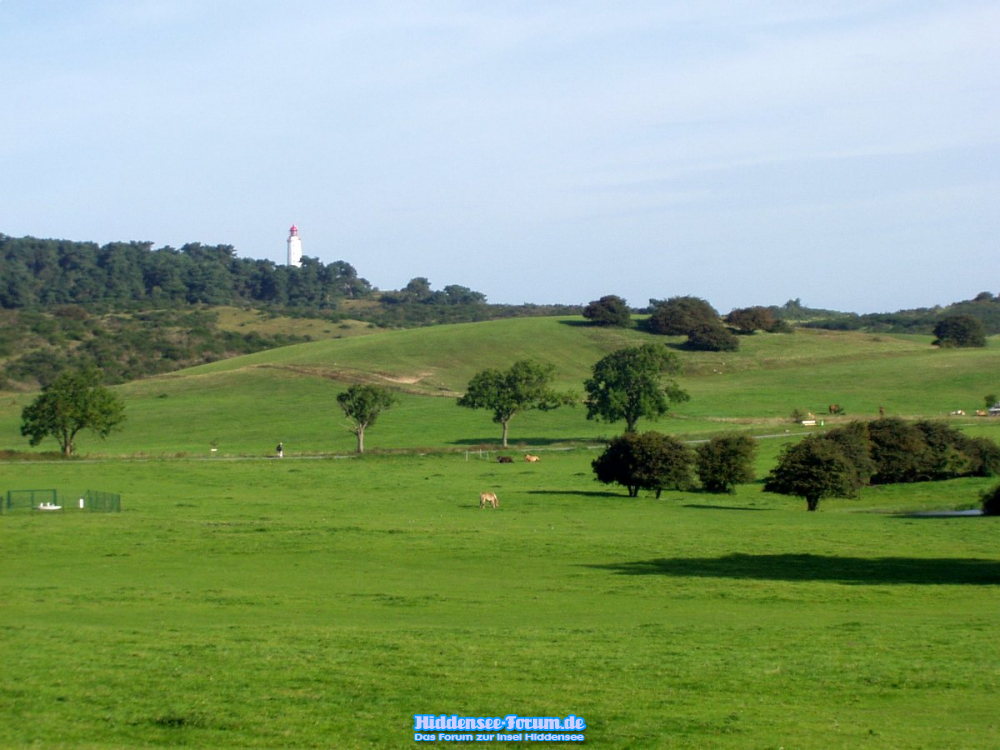 Vom Bodden zum LT