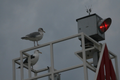 Blitzer auf Hiddensee?