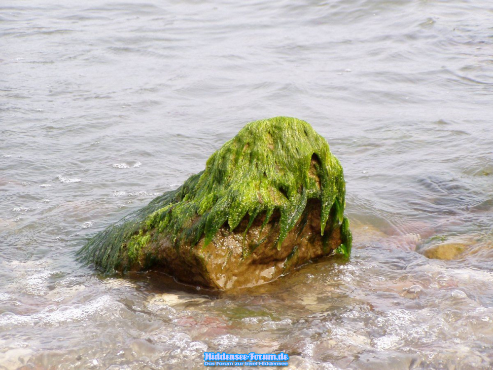 Wenig Wasser in der Ostsee