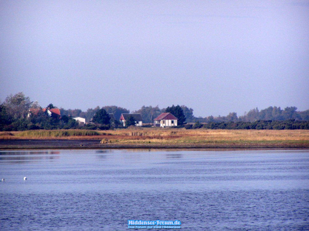 Blick zur Fährinsel