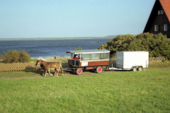 Insel-Logistik