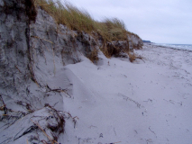 Verwehungen am Strand