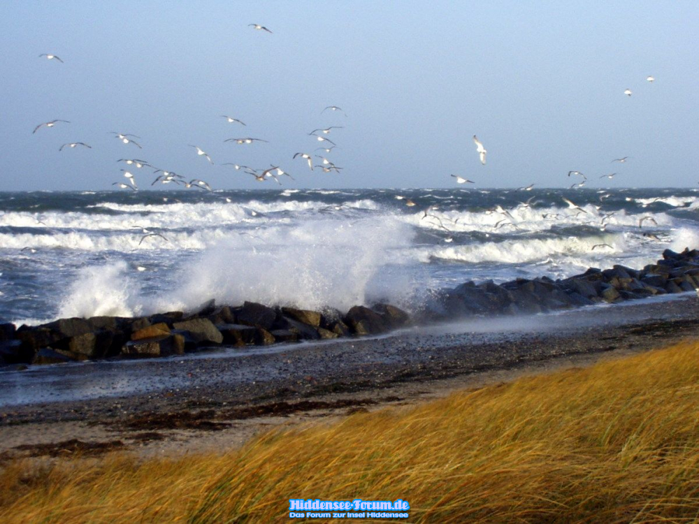 Windstärke 10 der 2.Versuch
