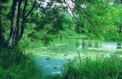 Teich in Kloster