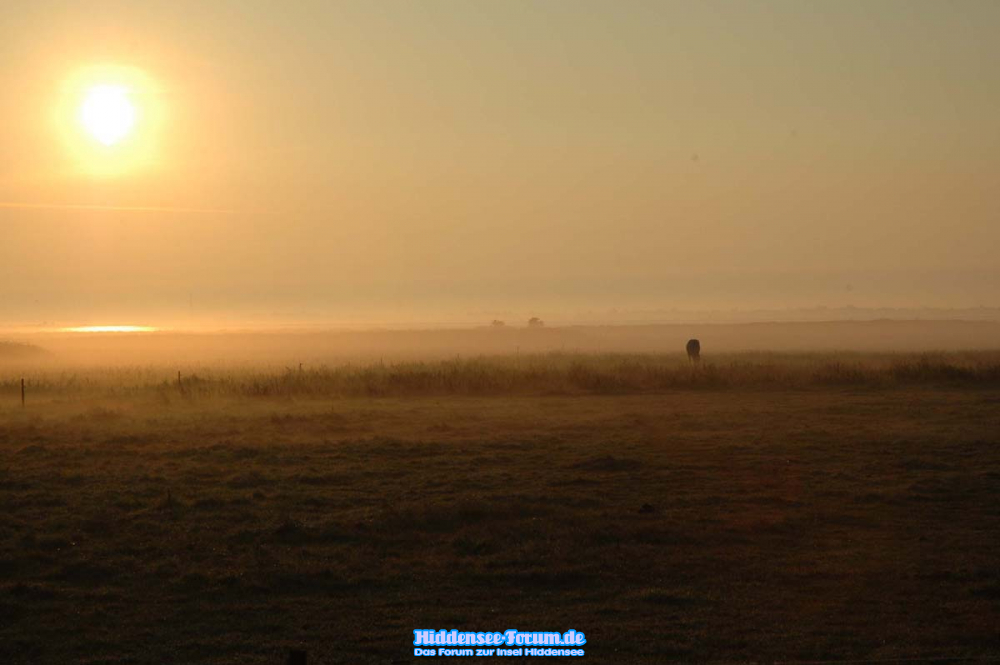 Sonnenaufgang bei Vitte