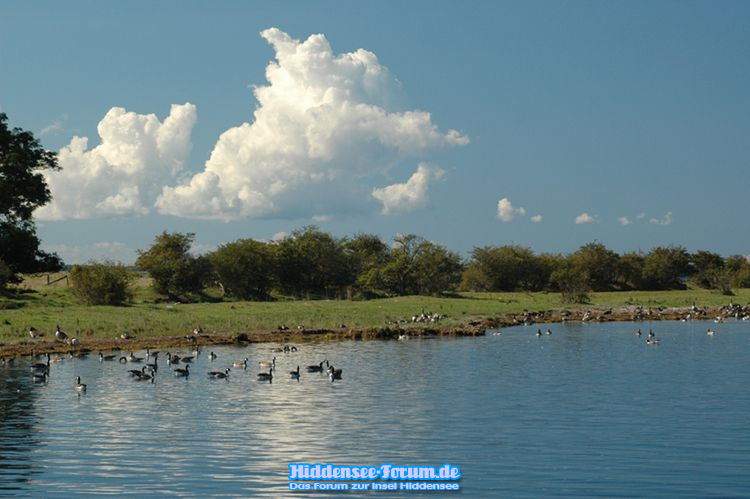 ... in Erwartung: am Anleger in Schaprode
