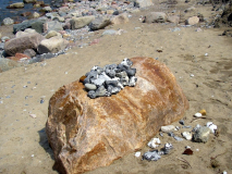 Suchaktionen am Strand