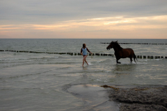Pferd und Reiterin beim baden in der Ostsee
