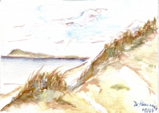Blick auf Hiddensee von der Hohen Düne/Darß