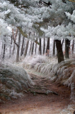 Winterzauber auf Hiddensee