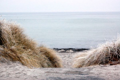 Strand im Winter!