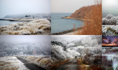 Wintereinbruch auf Hiddensee 2009