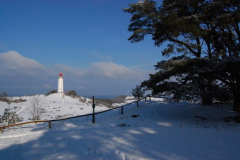 Inselblick im Winter