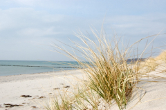 Strand und Stille!!! EIN SCHÖNES GEFÜHL