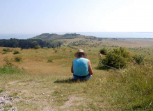 Genießen der Landschaft