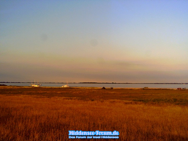 Abendstimmung am Neuendorfer Bodden