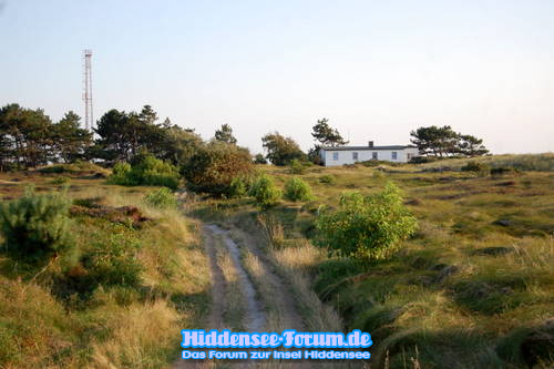 Heide 2009