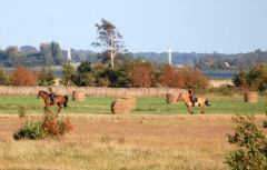 Reiten auf Hiddensee