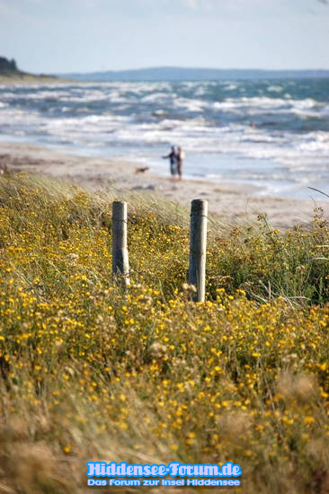 Hiddensee