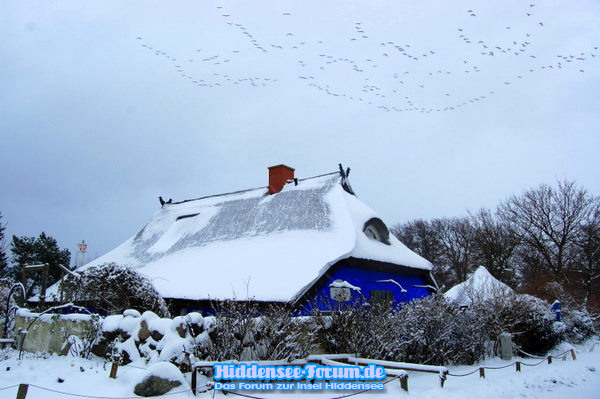 Im Winter fängt die Scheune zu LEUCHTEN an