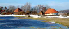 2 März in Vitte es taut.dann Kamm der Schnee