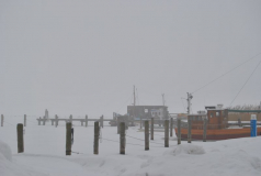 Hafen im Nebel