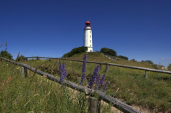 Weg zum Leuchtturm