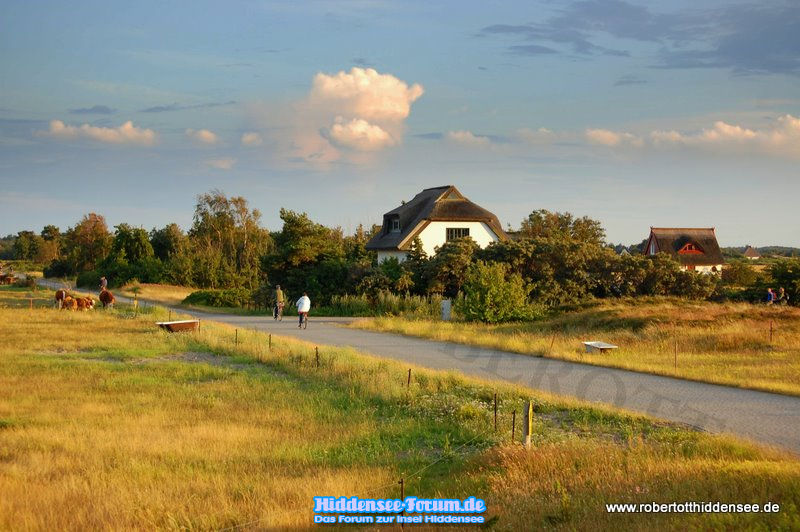 Die Straße nach Süden