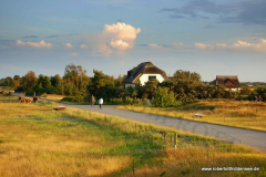 Die Straße nach Süden