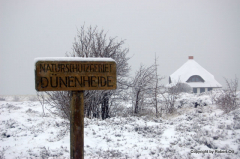 Naturschutzgebiet Dünenheide im Winter