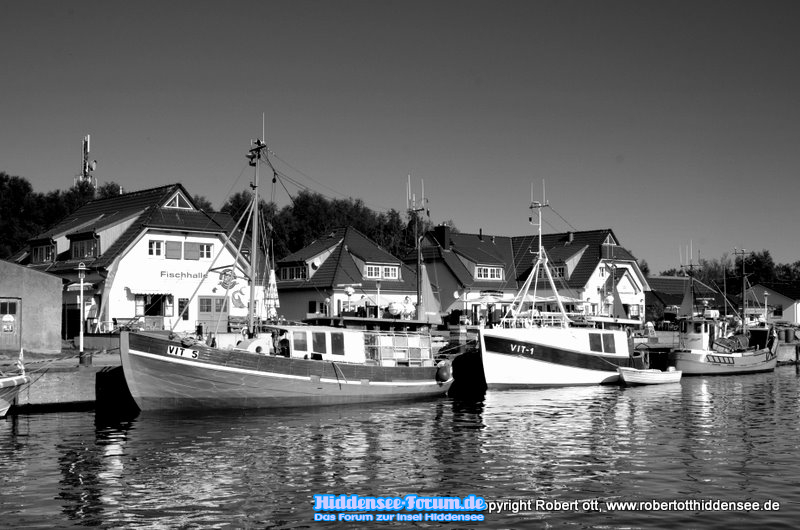 Hafen im Jahr 2011