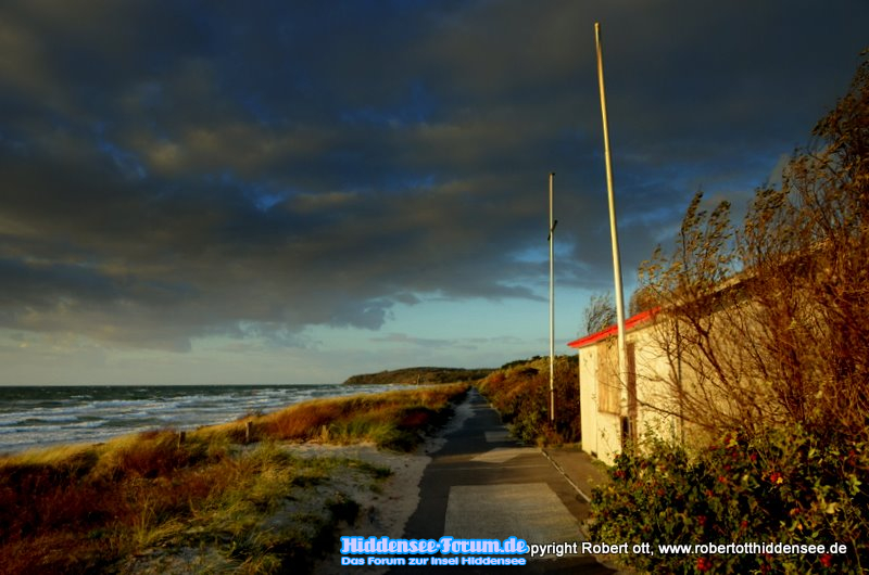 Goldener Herbst auf Hiddensee