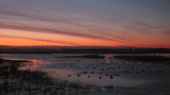 Morgens am Bodden....