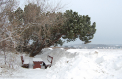 Rastplatz im Winter