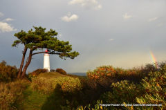 Leuchtturm Dornbusch im Herbst