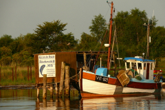 Fischkutter in Kloster