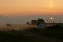 Nebel am Morgen