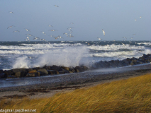 Wintersturm auf Hiddensee