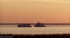 Morgens am Bodden