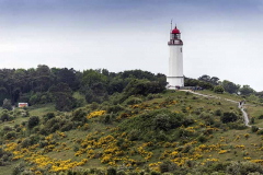 Blick zum Turm vom Swanti im Juni 2014