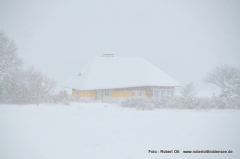 Schneesturm Feb.2021 Vitte