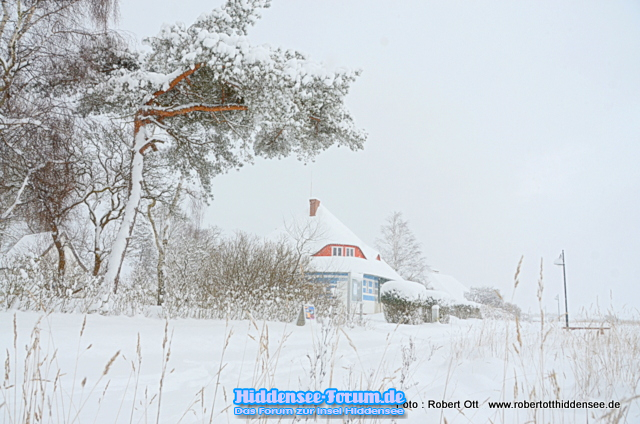 Schneesturm Feb.2021 Vitte