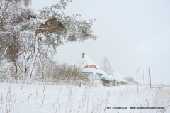 Schneesturm Feb.2021 Vitte